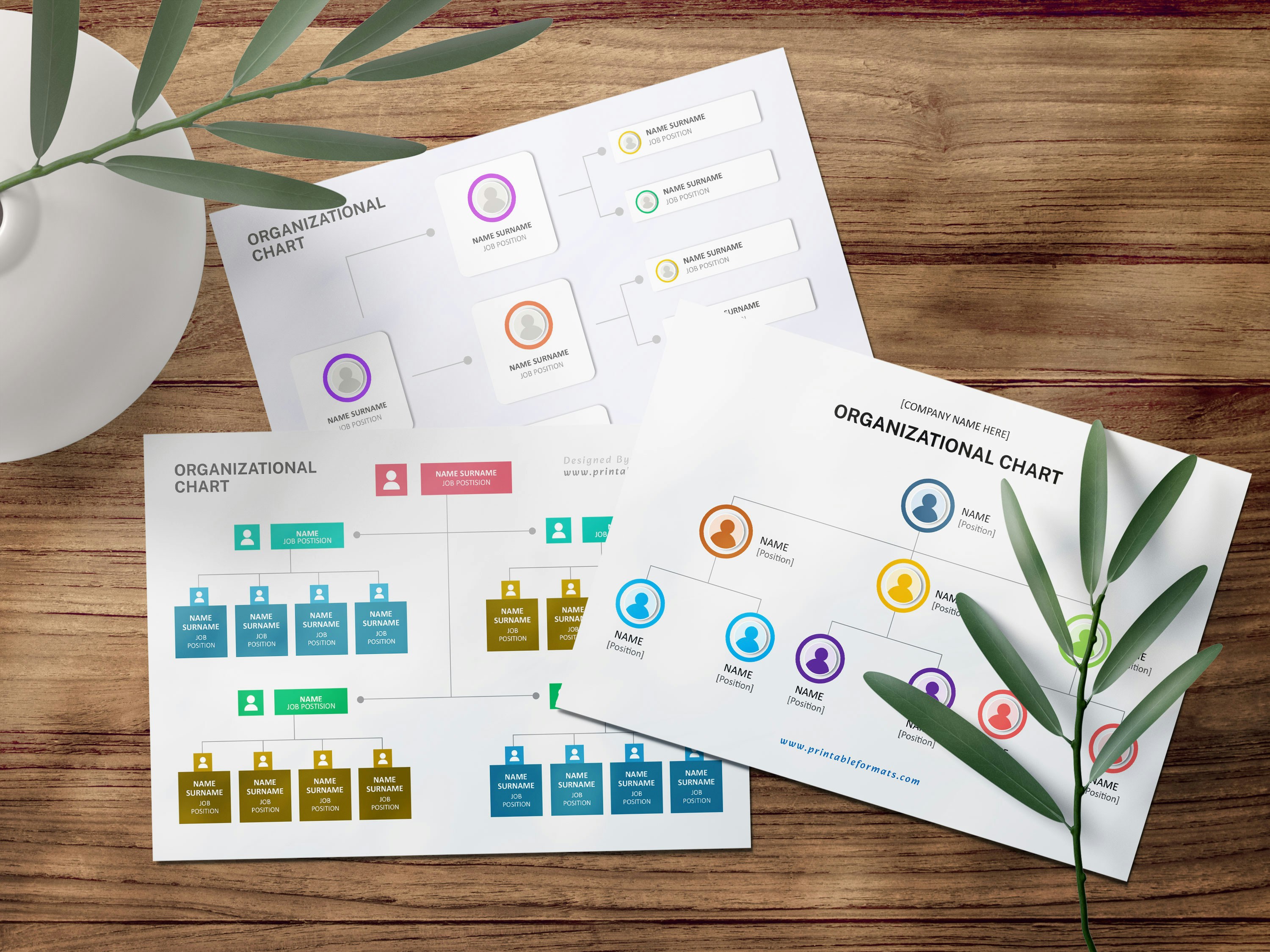 Company Profile Design